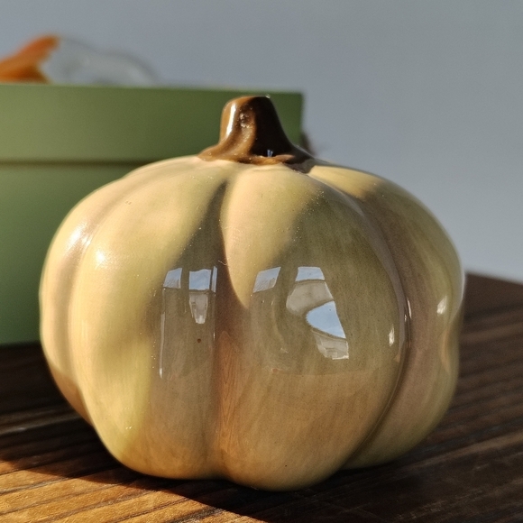 Russ Ceramic Pumpkin Salt and Pepper Shakers Fall Thanksgiving Kitchen Accents - Picture 6 of 16